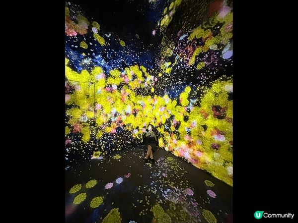 真心推介愛打卡的去TeamLab borderless 玩，...