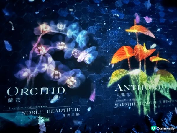 尖沙咀1881 Heritage Naked Flowers...