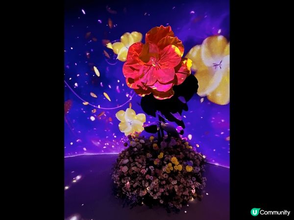 尖沙咀1881 Heritage Naked Flowers...