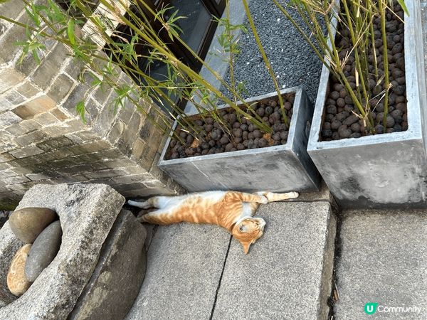 北上深圳好去處 — 南頭古城。