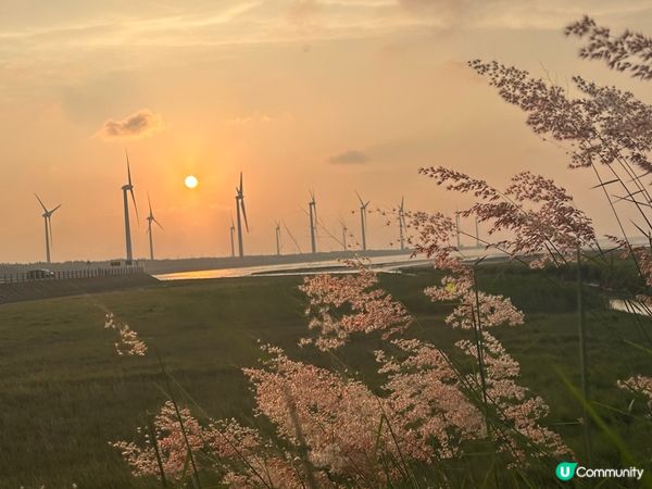 天空之鏡 — 高美濕地