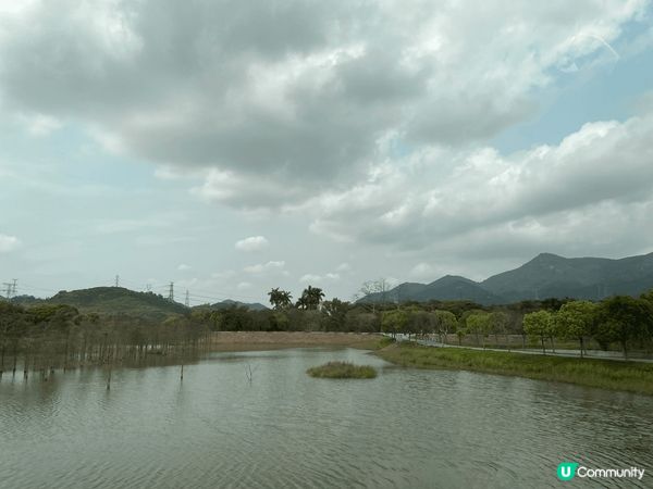 點解會選呢兩張相分享原因係當心情煩悶見到呢個可愛號貓咪睡覺懶...