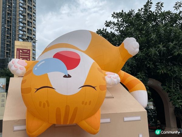 點解會選呢兩張相分享原因係當心情煩悶見到呢個可愛號貓咪睡覺懶...