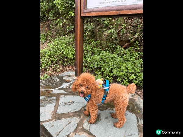 今次去?打卡地方係?鹿頸??，鹿頸除?好靚?山景之外仲有海景...
