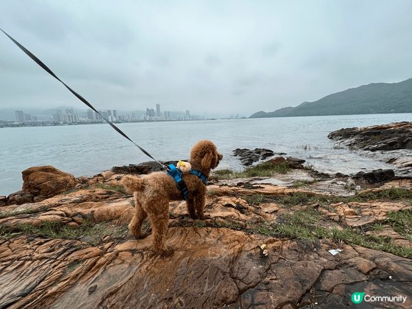 今次去?打卡地方係?鹿頸??，鹿頸除?好靚?山景之外仲有海景...
