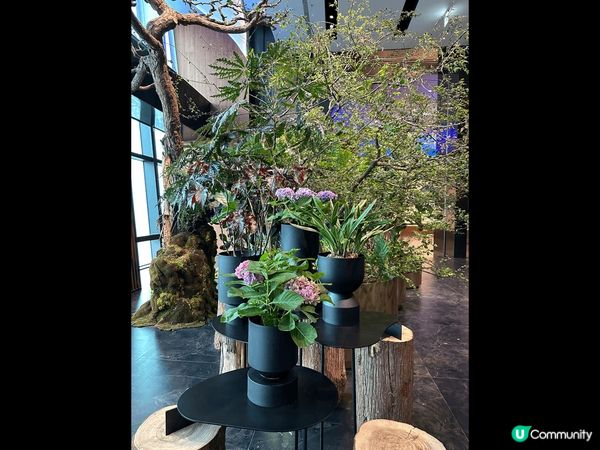 饗A Joy，全台最貴自助餐！位置在101裡面的餐廳，由於海...