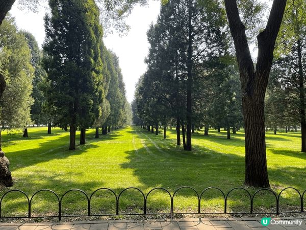 北京天壇，原本以為?度淨係得個地標，點知去到成個場超大，景色...