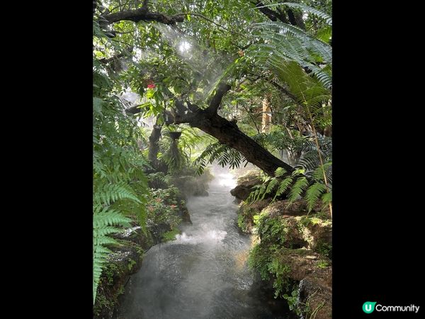 這是在泰國清萊的一間打卡cafe, Lalitta Cafe...