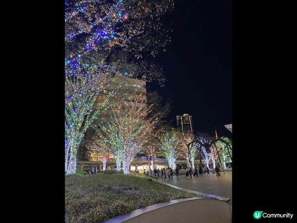 在這趟日本之旅，從琳琅滿目的建築物，我感受到都市的繁榮，亦感...