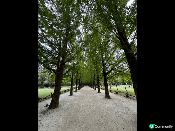 南怡島，四季不同，景色優美怡人