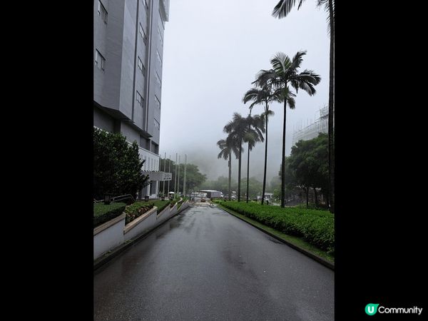 我喜歡這些景點：中文大學、墨爾本、東京迪士尼，那些景點很有生...