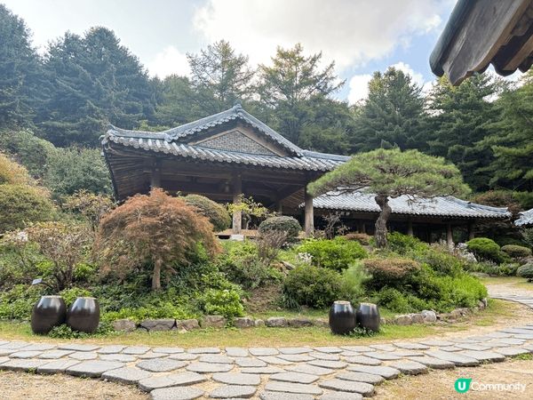 晨靜樹木園係韓國近首爾郊區最靚世外桃源，呢度有一個超過30萬...