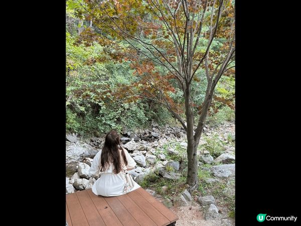 晨靜樹木園係韓國近首爾郊區最靚世外桃源，呢度有一個超過30萬...