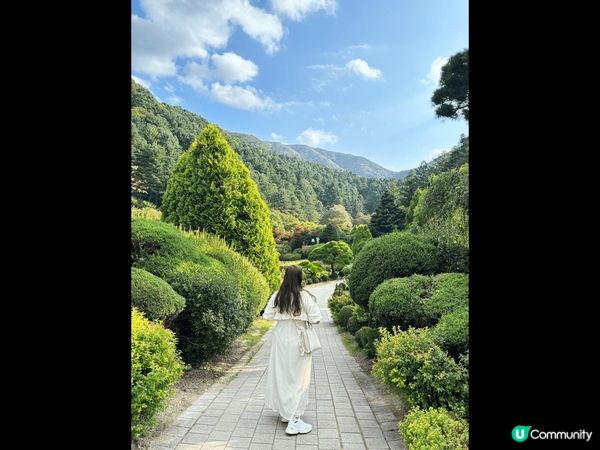 晨靜樹木園係韓國近首爾郊區最靚世外桃源，呢度有一個超過30萬...