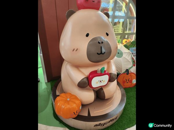 卡皮巴拉是近年熱門的卡通，因為牠擁有穩定情緒，是身心靈健康的...