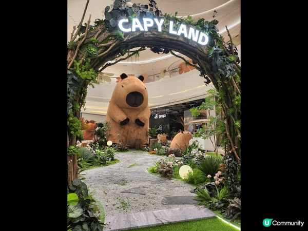 卡皮巴拉是近年熱門的卡通，因為牠擁有穩定情緒，是身心靈健康的...