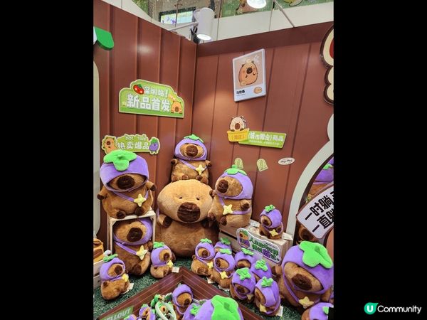 卡皮巴拉是近年熱門的卡通，因為牠擁有穩定情緒，是身心靈健康的...