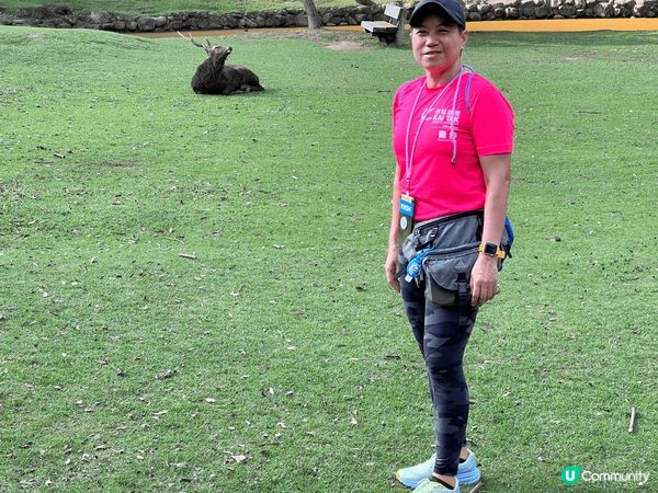 日本旅遊有風景、有享樂飲食，有古舊建築，應有盡有，令人樂而忘...