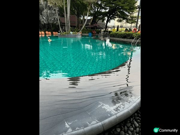 泰國????與香港距離只係約150分鐘機程，機票不太貴，超多...