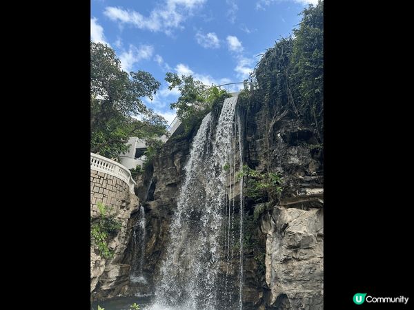 香港公園風景優美，有可愛的烏龜，也可以看瀑布，環境宜人

