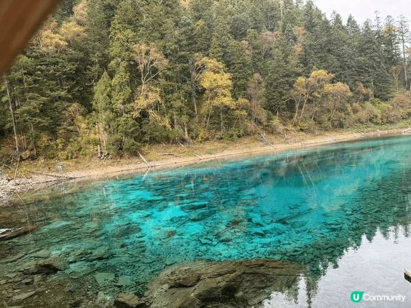 九寨?的?景,?直就是仙境里的游??，??是惊喜??的水滑梯...