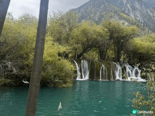 九寨?的?景,?直就是仙境里的游??，??是惊喜??的水滑梯...