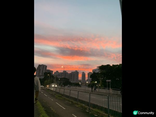 要是香港?美食一定要去大圍，除?有好靚?日落，大圍小館都係一...