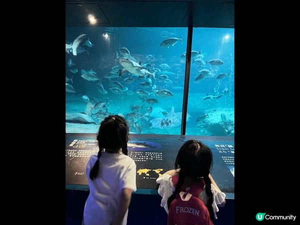 由於長洲屬於香港既一個島嶼，人民都好熱情，又可以遠離市區，可...