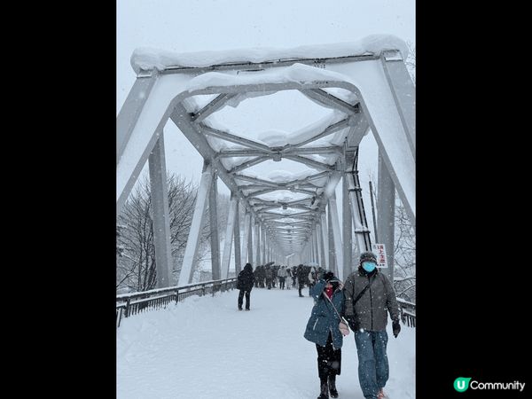 我喜歡北海道白鬚瀑布這個景點的原因是它在冬日展現出的超凡脫俗...