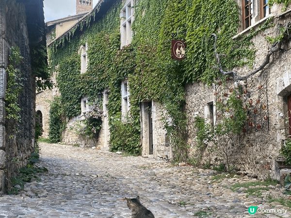 天色氣朗，寧靜的街道，古舊的建築物，讓我感到身心舒暢，洗滌了...