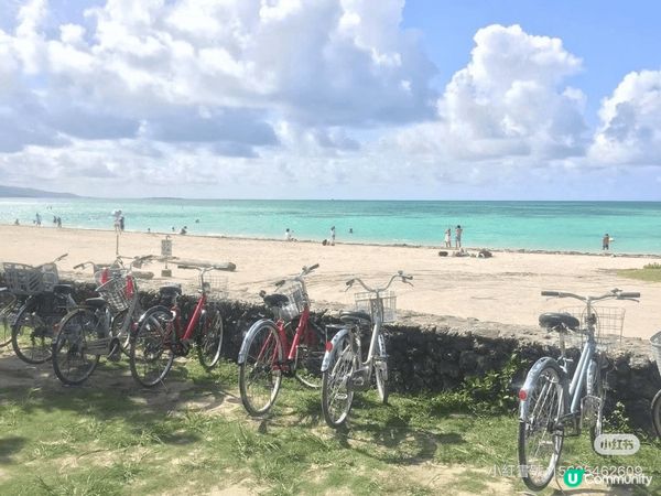 感受日本石垣島美麗籃天白雲，清晰的海灘，感受在廣島與動物零距...