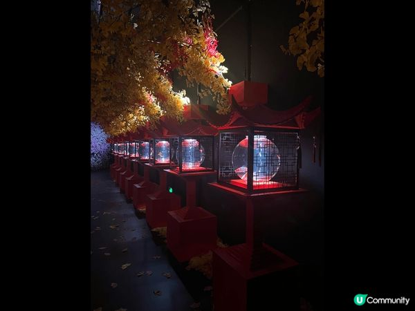 金魚博物館是一個讓人心醉的場所，彷彿進入了一個神秘的水下世界...