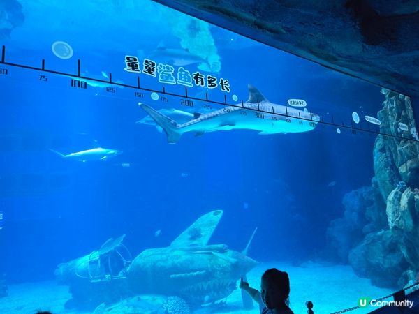 聽朋友介紹，暑假果陣去?珠海長隆度假區玩，果然係親子短途遊?...