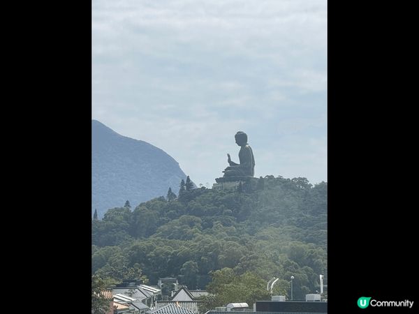 坐纜車遊覽天壇大佛及寶蓮寺，吃完齋菜後登上天壇上佛，參觀寶寶...