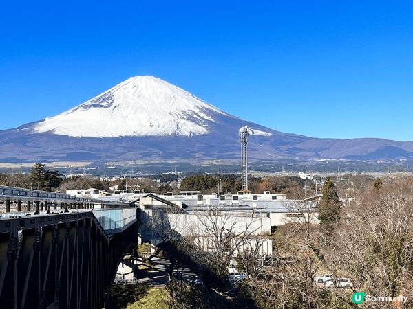 日本東京之旅 一定要去一次河口湖睇富士山同東京鐵塔打卡