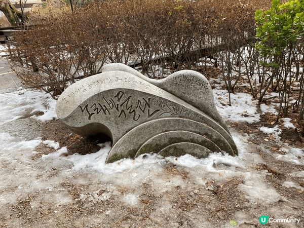 這裏是韓國南怡島，我喜歡這個景點的原因是因為它的景色很優美，...