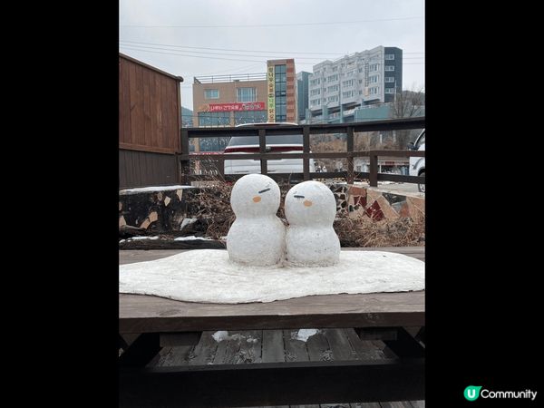 這裏是韓國南怡島，我喜歡這個景點的原因是因為它的景色很優美，...