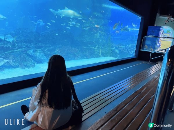 喜歡韓國釜山海雲台的日落照非常之美麗，水族館都好好睇，甜品很...