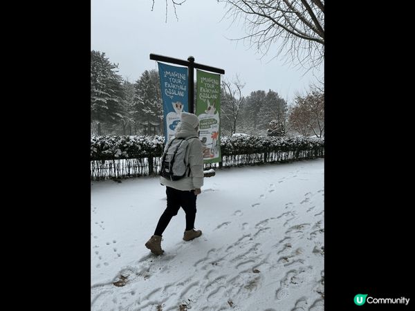 喜歡韓國釜山海雲台的日落照非常之美麗，水族館都好好睇，甜品很...