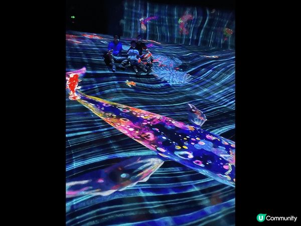 帶小朋友家庭3天2夜深圳觀蘭湖，活動動靜皆宜。回程順路再到深...