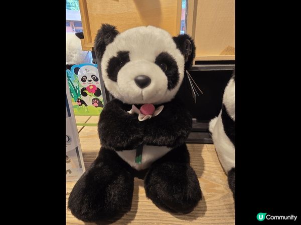 可惜熊貓休館。因爸爸媽媽努力要飼養小生命。希望龍風胎熊貓BB...