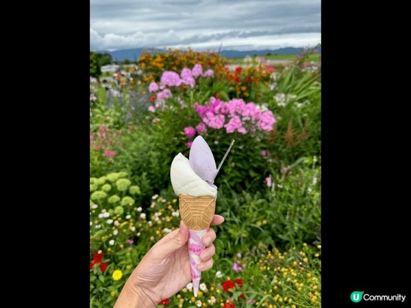 「Lake Hill Farm」是位於北海道南部的牧場, 好...