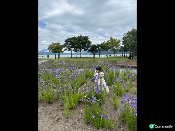 「Lake Hill Farm」是位於北海道南部的牧場, 好...