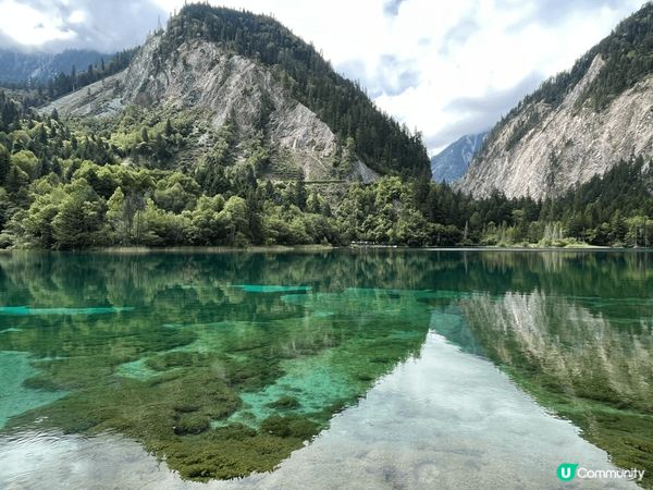 9月去的四川九寨溝縣，真係見過有史以來最綠既湖，好靚，勁大既...