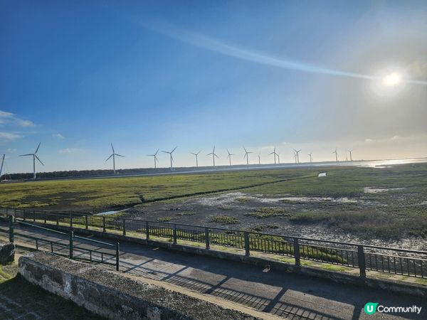 台中的高美濕地。比想像中值得一遊！風景靚，又睇到彈塗魚同招潮...