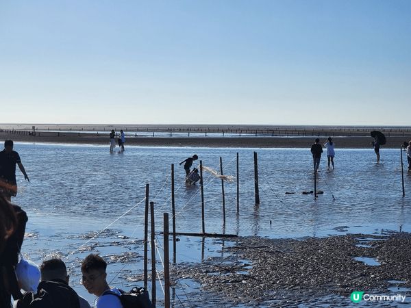 台中的高美濕地。比想像中值得一遊！風景靚，又睇到彈塗魚同招潮...
