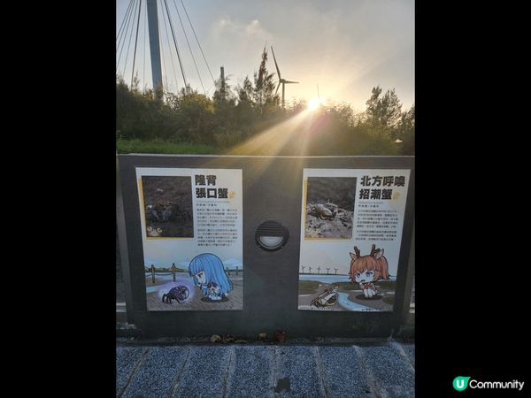 台中的高美濕地。比想像中值得一遊！風景靚，又睇到彈塗魚同招潮...