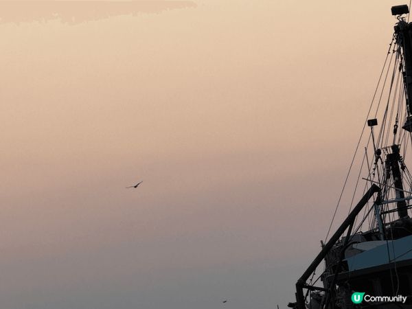 這裏是長洲，充滿人情味同香港特色的小漁村，近年來都增添不同種...