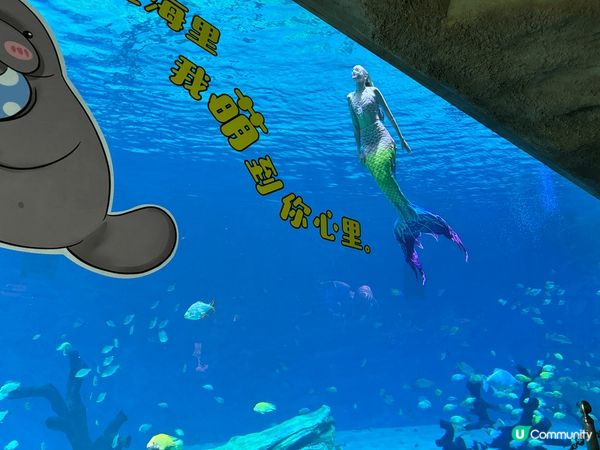 珠海長隆飛船樂園不怕日曬雨淋好去處、港車兩小時直達～兩大兩細...