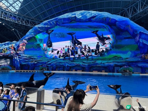 珠海長隆飛船樂園不怕日曬雨淋好去處、港車兩小時直達～兩大兩細...